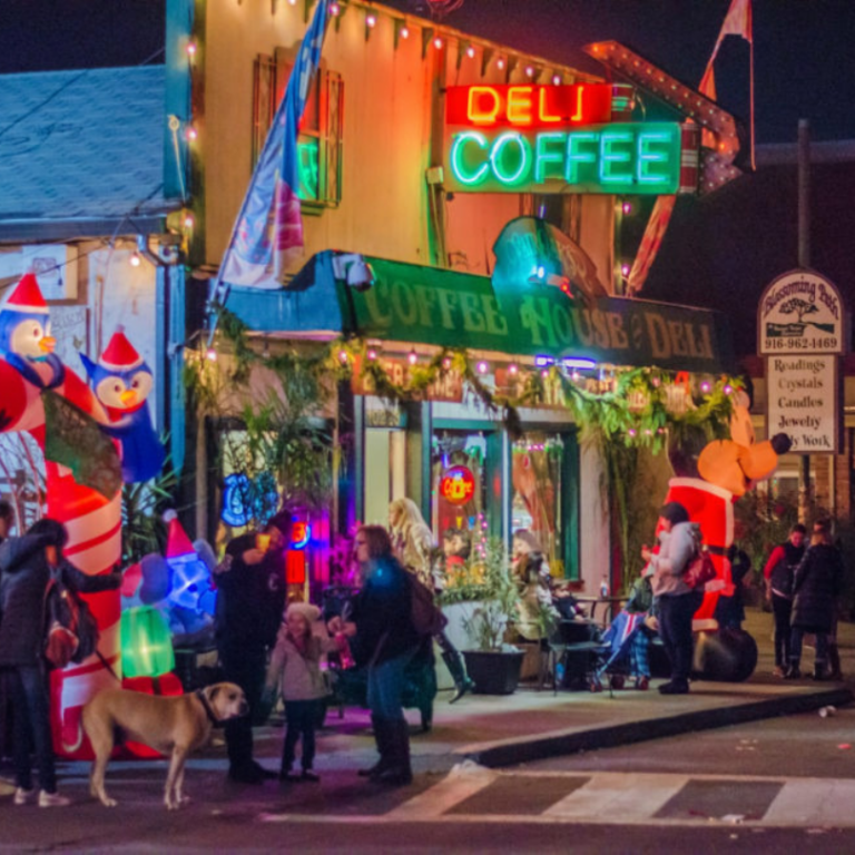 35th Annual Christmas in the Village