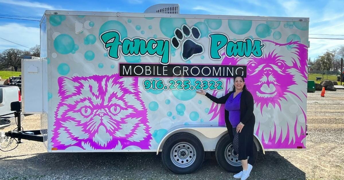 Discover the Benefits of Mobile Pet Grooming with Fancy Paws Grooming ...