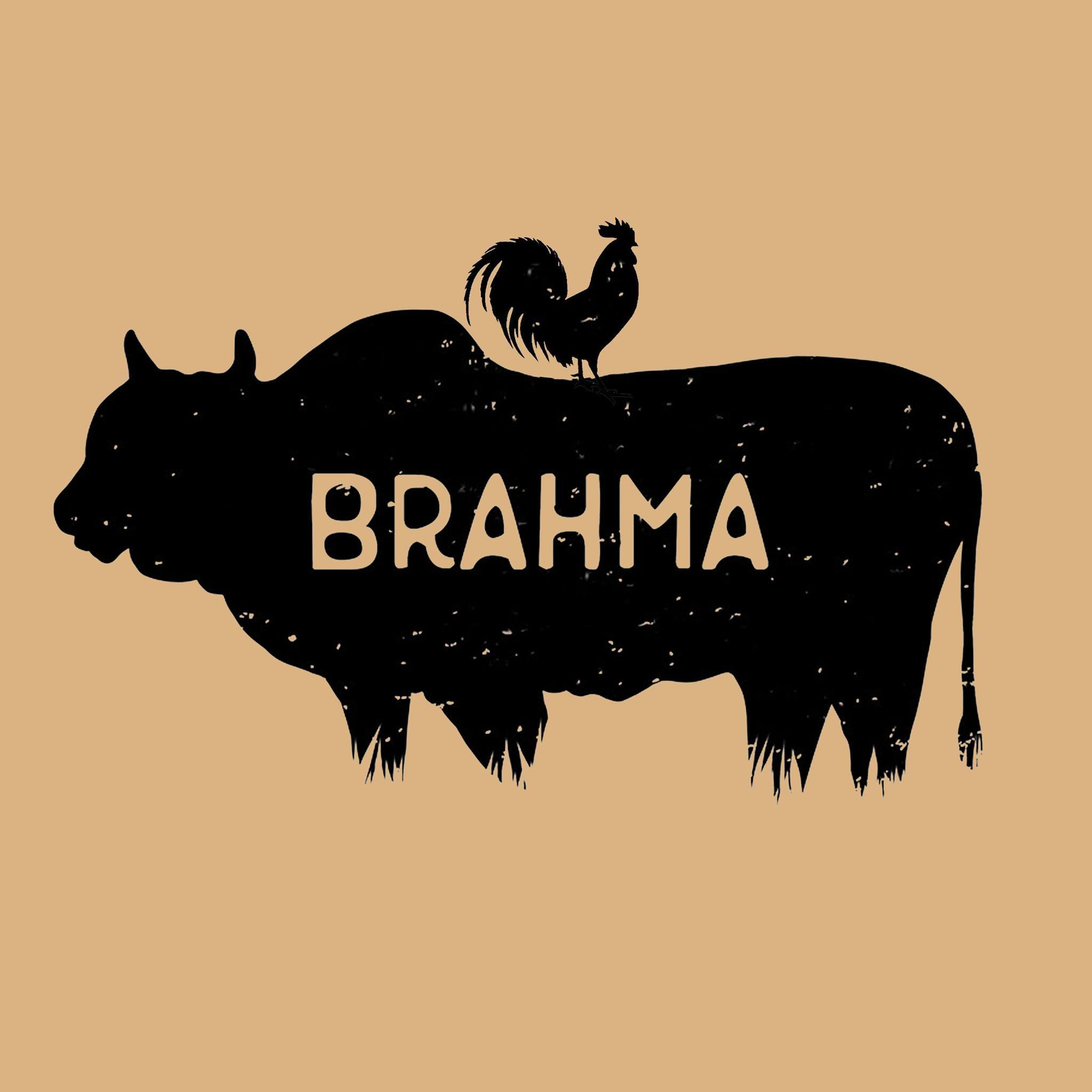 brahma logo iw a bull with a rooster on it's back