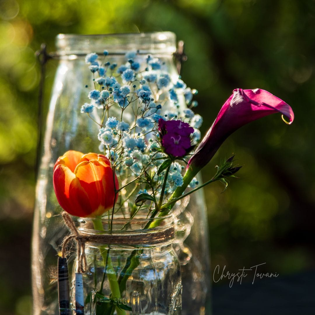 flowers in a jar by chrysti tovani