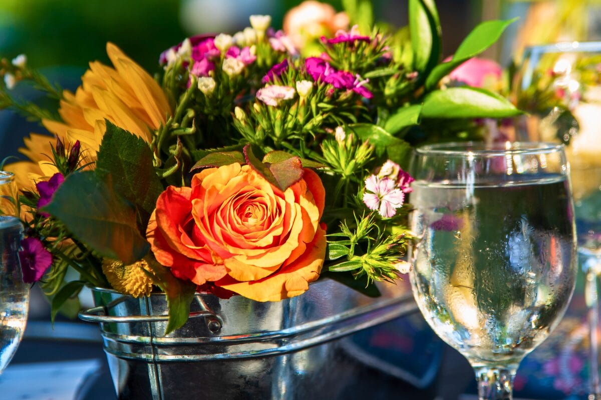 fair oaks california volunteer opportunities