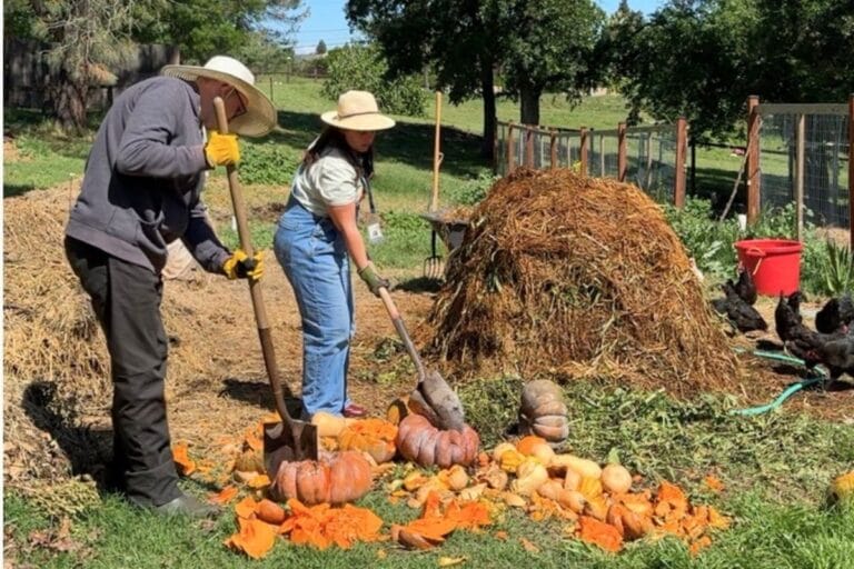 breaking up pumpkins at meristem fair oaks