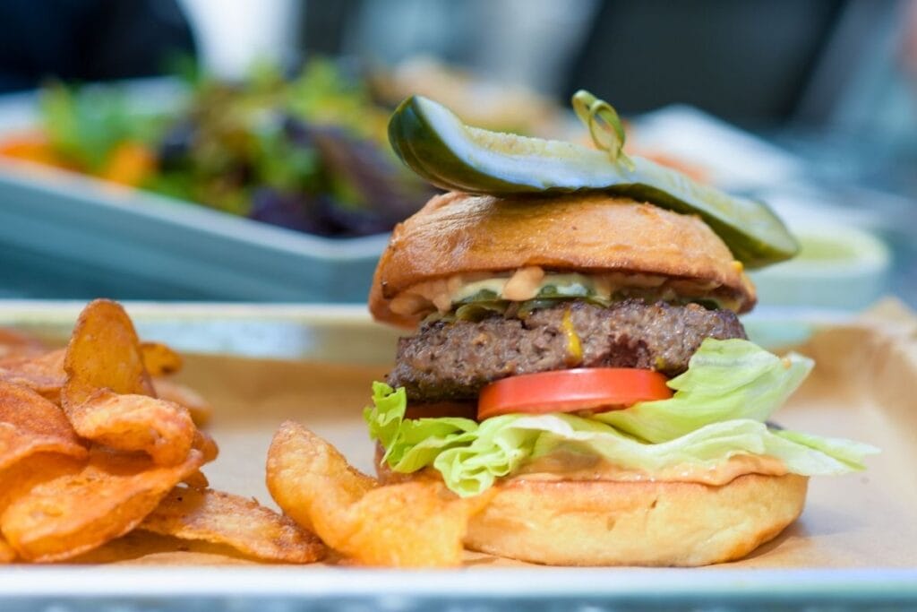 hamburger and homemade potato chips at meristem cafe