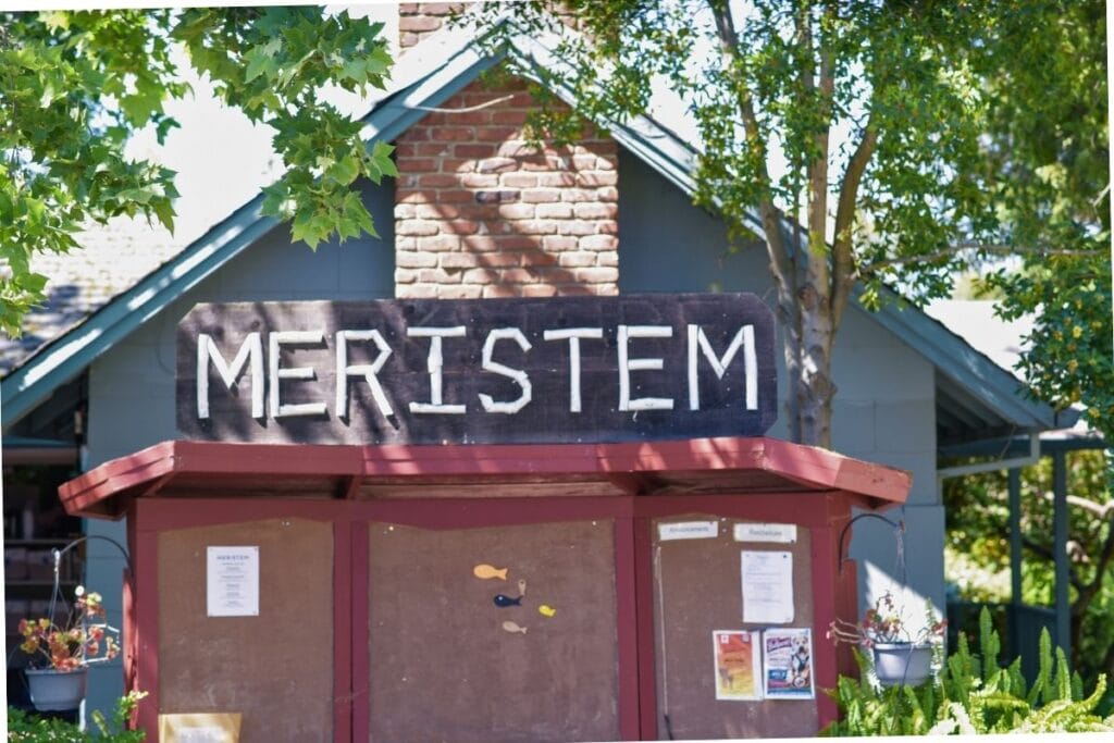 meristem campus fair oaks